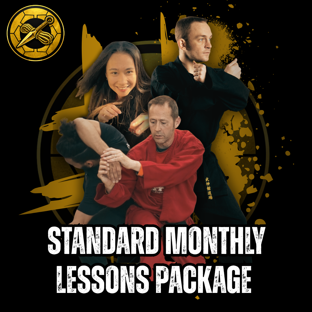 Standard Monthly Lessons Package