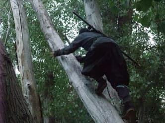 The Lost Art: Exploring Dead Ninja Lineages