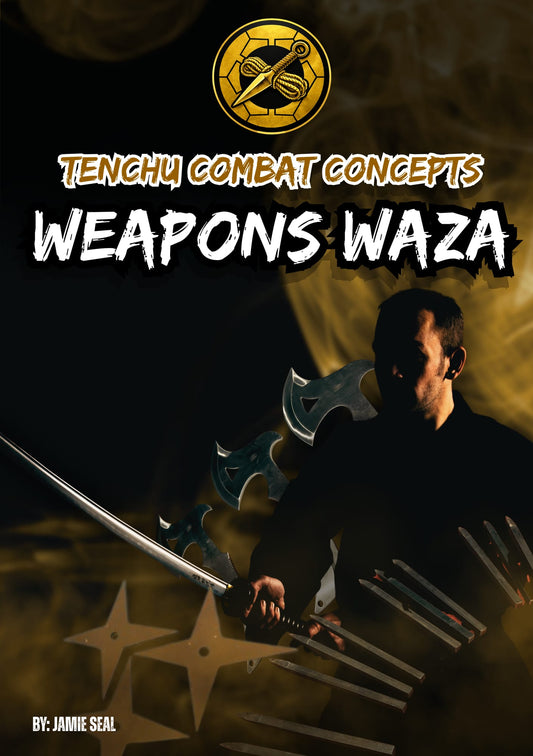 Tenchu Combat Concepts Weapons Waza