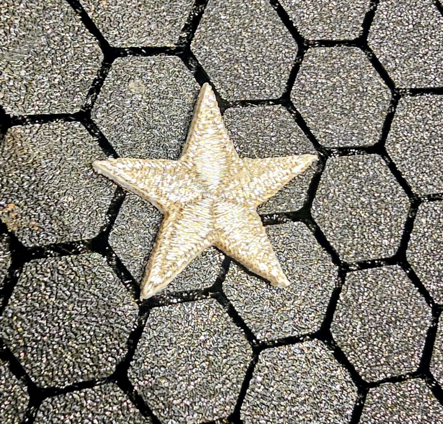 Silver Hoshi (Rank Star)