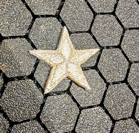 Silver Hoshi (Rank Star)