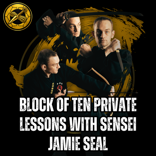Block Of Ten Private Lessons With Sensei Jamie Seal